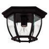 Dural Flush Mount Ceiling Light -Kenroy Store 1862157 Black