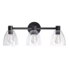 Kenroy Home Edis 3-Light Glass Vanity Light 2 Kenroy Home Edis 3-Light Glass Vanity Light -Kenroy Store 2823695 Oil Rubbed Bronze