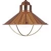 1-Light Dowd Pendant Home