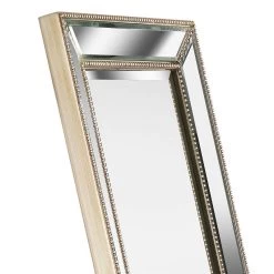 Kenroy Home Ridley Champagne 18 1/4" X 64" Floor Mirror 7 Kenroy Home Ridley Champagne 18 1/4" X 64" Floor Mirror -Kenroy Store kenroy home ridley champagne 18 and one quarter inch x 64 inch floor mirror 62x71views1